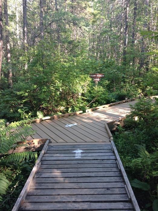 Boardwalk junction at the town line (Credit: N. Grohoski)