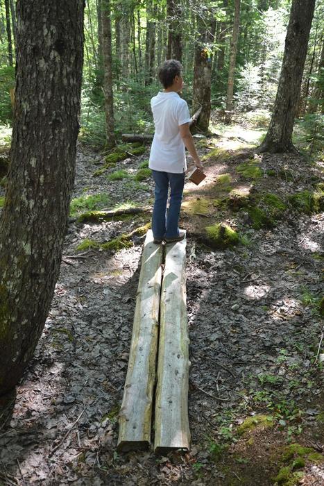 Boardwalk along the route (Credit: Maine Trail Finder)