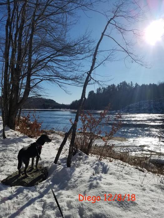 French Falls River Walk