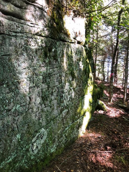 Boulder along the Prong Pond Trail (Credit: Bureau of Parks and Lands)