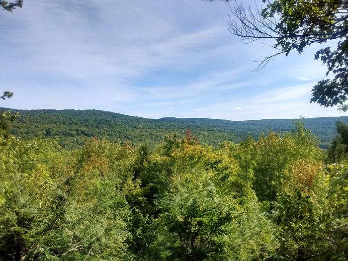 (Credit: Kirsten Brewer)