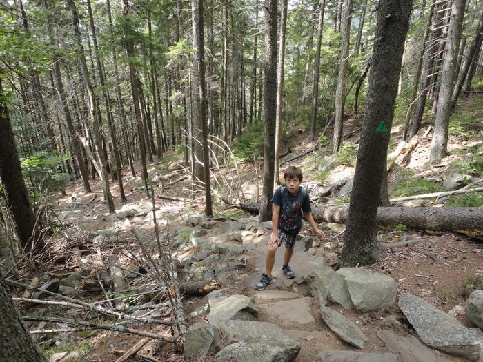 &quot;We're going where?!&quot; - Youngster realizing the meaning of &quot;steep ascent&quot; (Credit: Remington34)