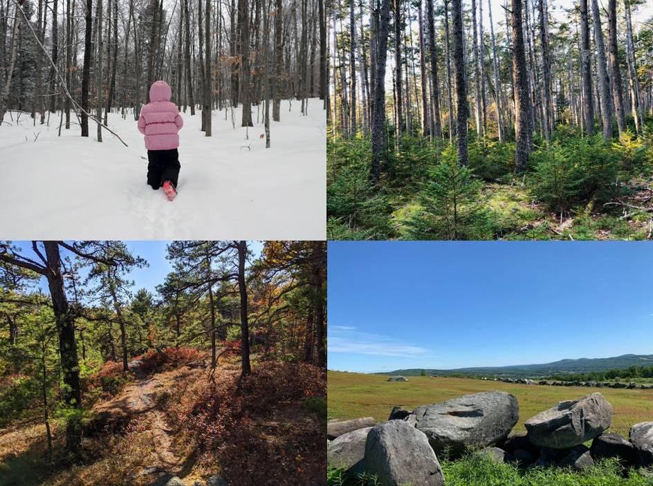 A few of our favorite user photos from (clockwise from upper left) Robert Ratford, Samantha Adams, Barbara Zucchi and Michael Hanson