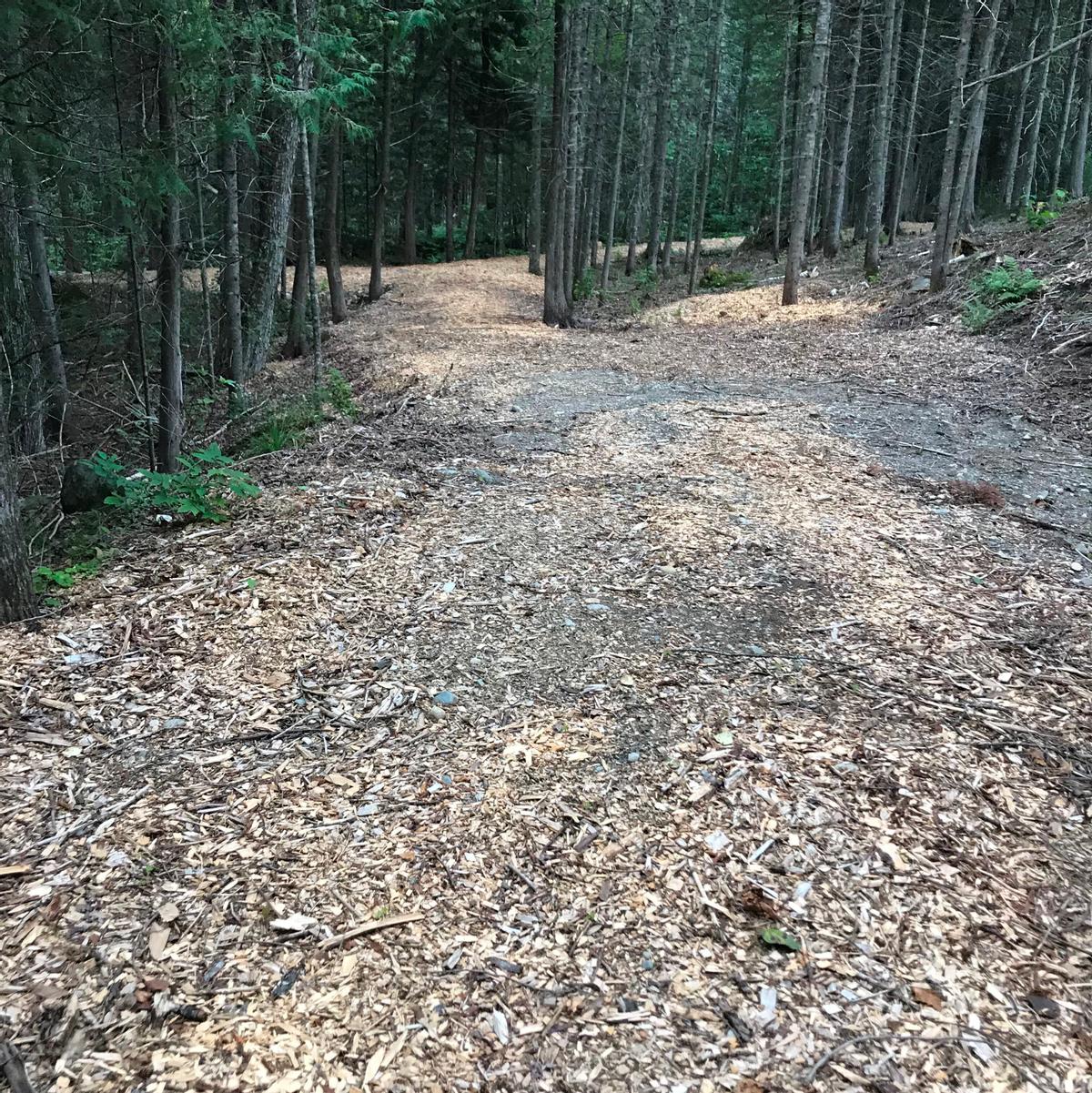 A mix of woodchips and stones make up the surface of the trail