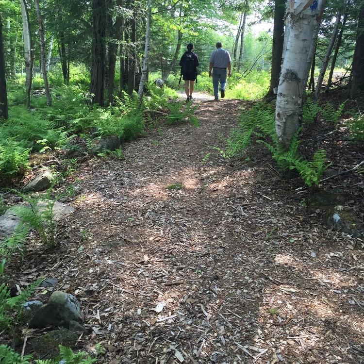 Two people walk on a trail of woodchips