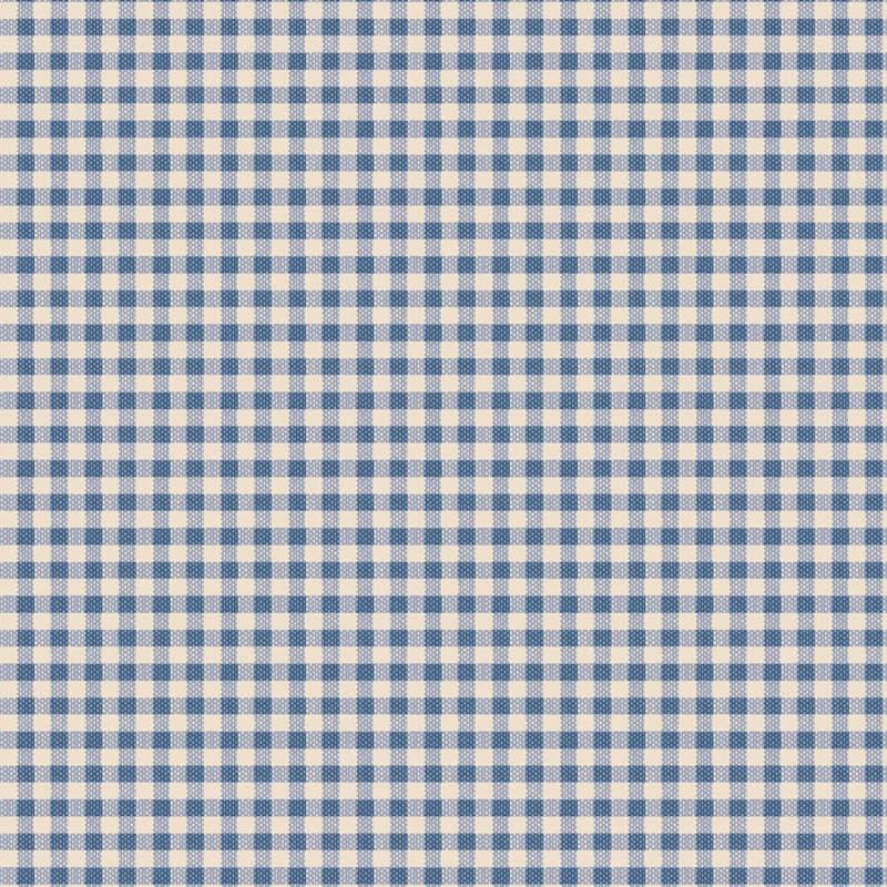 Gingham Blue  160073