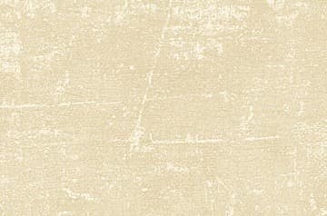 Canvas Texture Toasted Marshmellow 9030-12