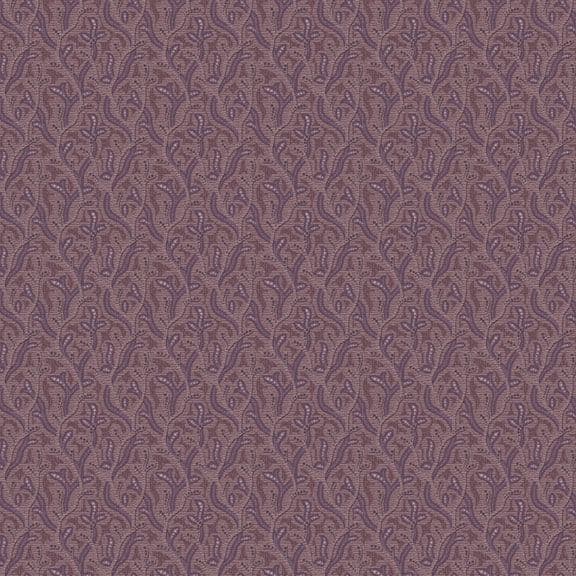 Plumberry Farm Lightning Plum R171809D