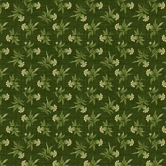 New Dawn Green R491569D