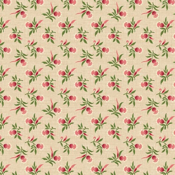 New Dawn Multi R491569D