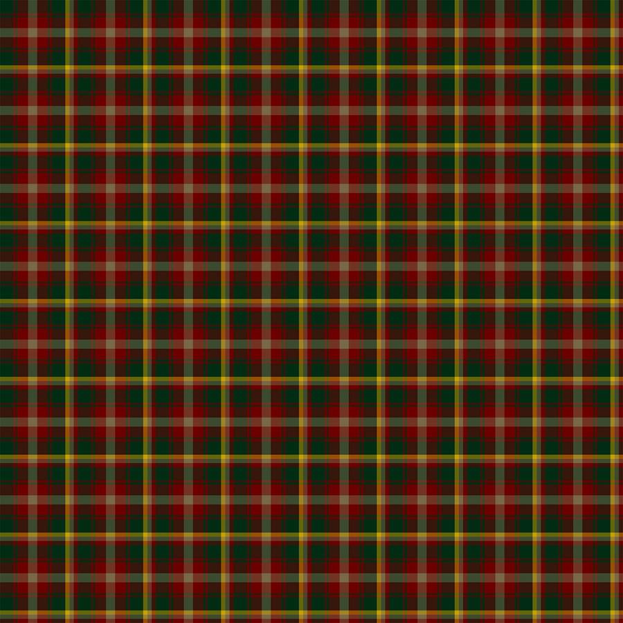 Tartan Traditions Red Multi W25572 26