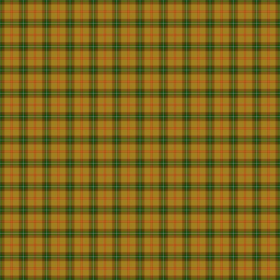 Tartan Traditions Yellow Multi W25575 54