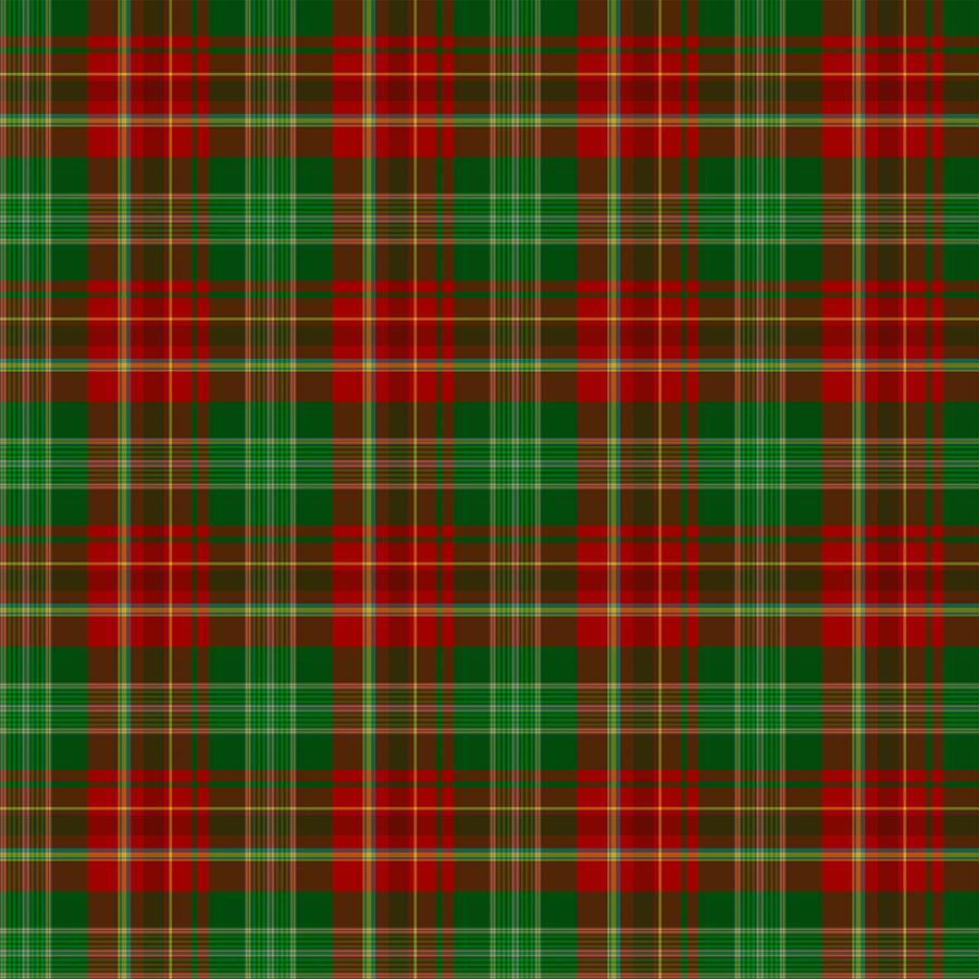 Tartan Traditions Red Multi W25579 24