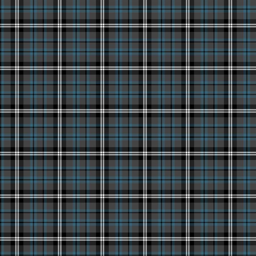 Tartan Traditions Gray Multi W25584 96