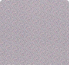 Brie Basics Iris 130189