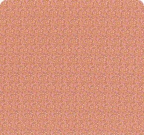 Brie Basics Ginger 130197
