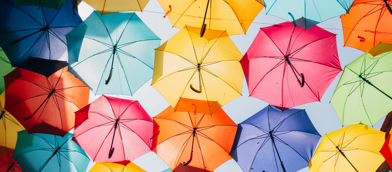 The Essential Guide to Personal Umbrella Liability Policies