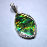 Ammolite Pendant from Canada