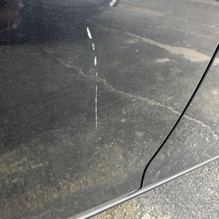 Scratch on Passenger side rear door