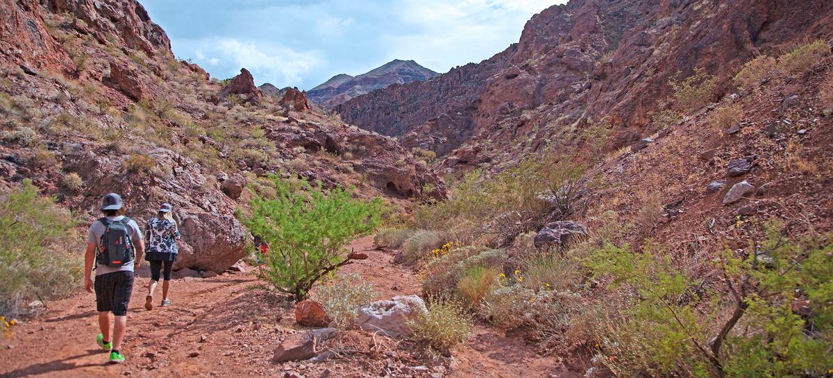 Hiking Goldstrike Canyon. Photo credit: Sydney Martinez/Travel Nevada
