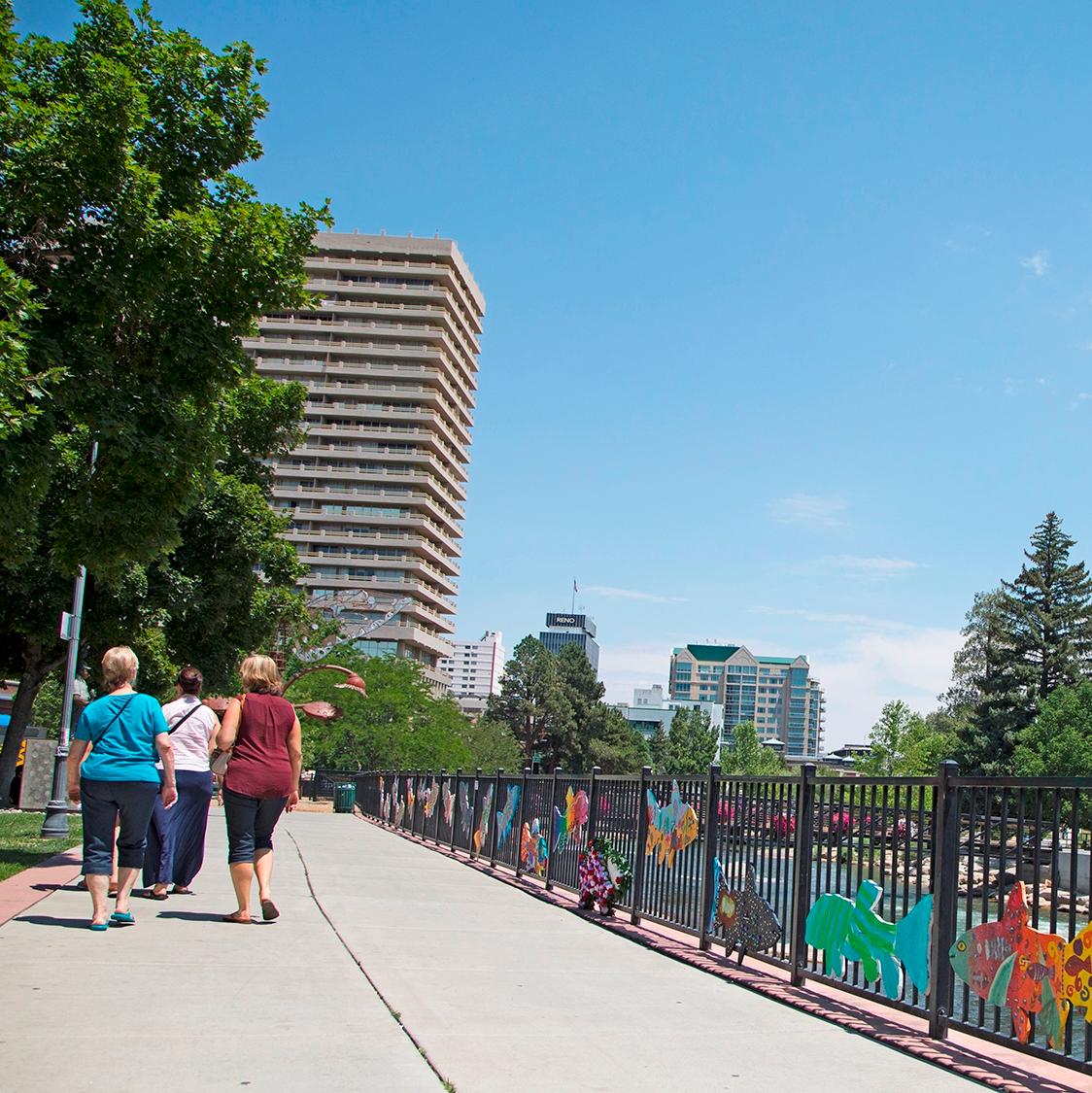 An accessible boardwalk travels through a marsh