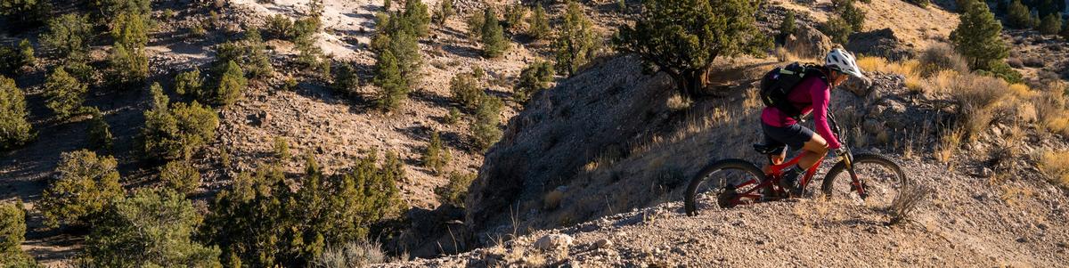 A woman mountain bikes through scrubby desert