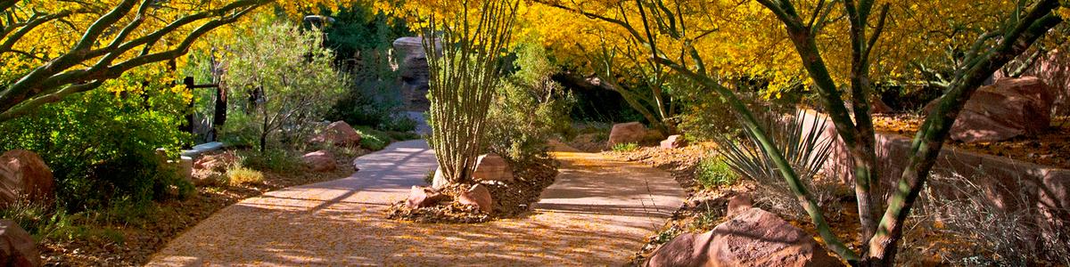 Trees shade a smooth, paved trails