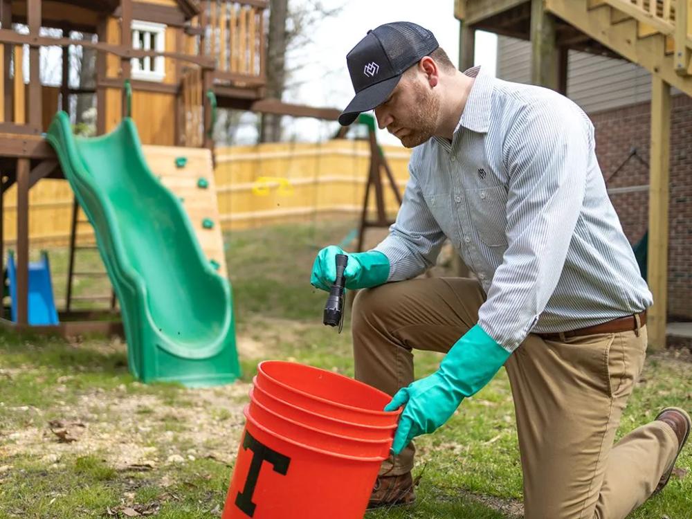 professional mosquito inspection in scranton pa