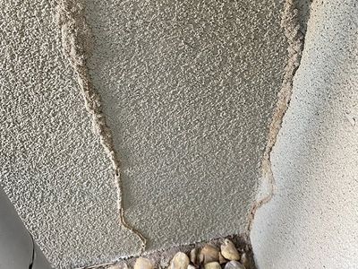 termite mud tubes