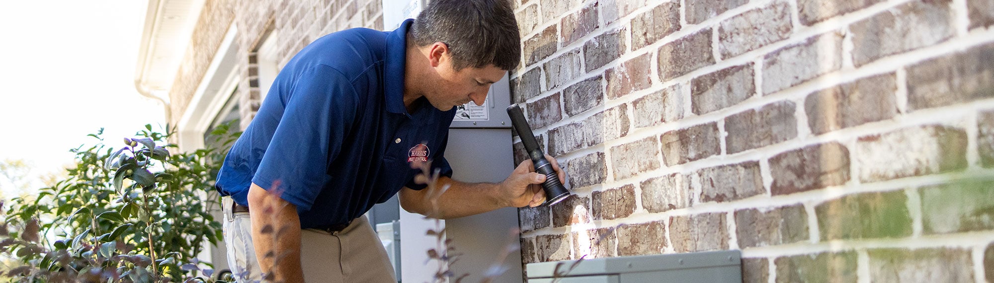 exterminator in darlington south carolina