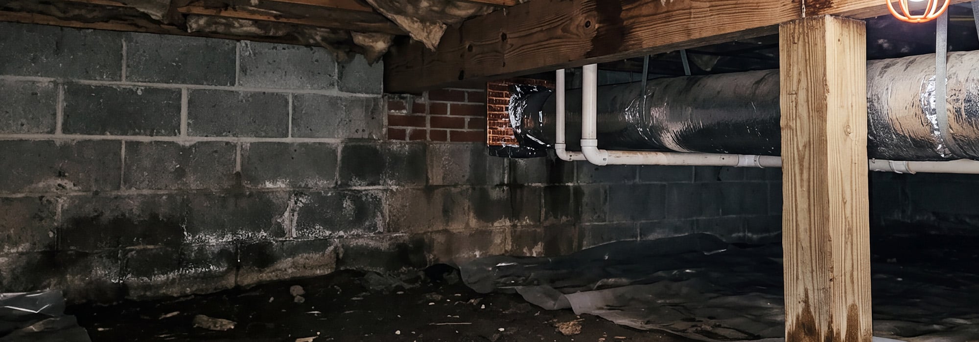 damp, moisture-prone crawl space in pee dee