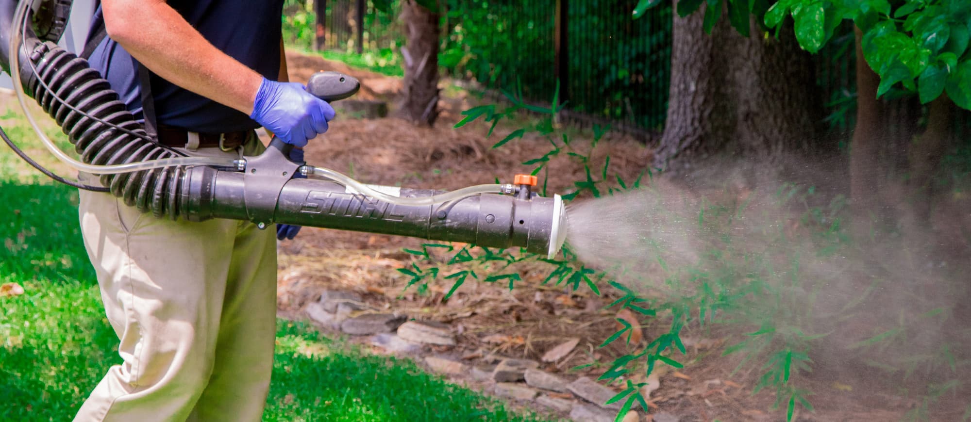 pest exterminator spraying yard for mosquitoes