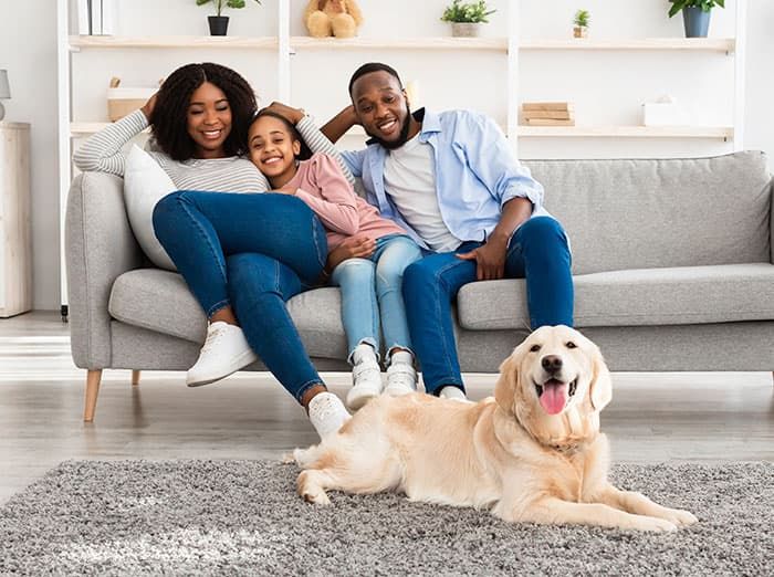 family covered by harris' 30 day interior flea control guarantee