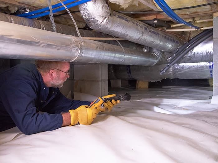 moisture control specialist inspecting crawl space