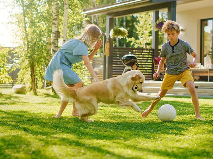 family playing in their yard