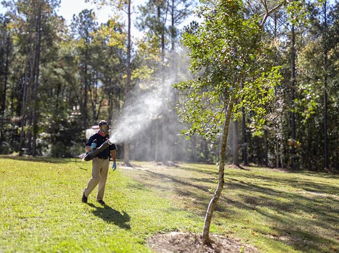 mosquito misting treatment florence sc