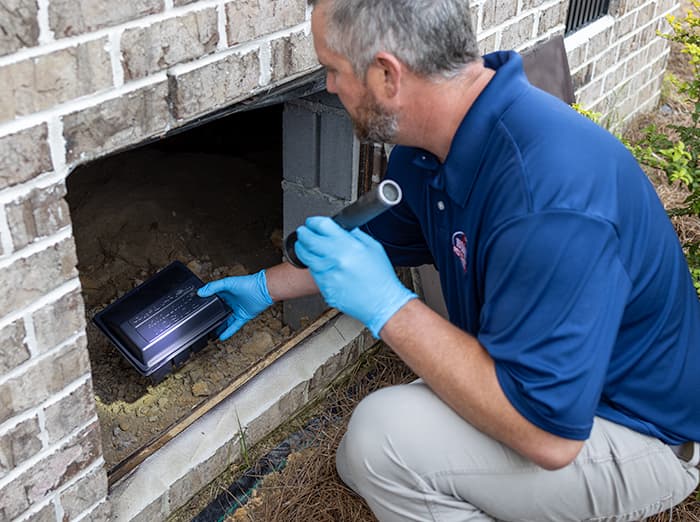 installation of rodent station in crawlspace