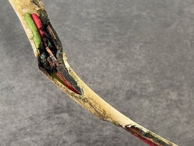 exposed electrical wires