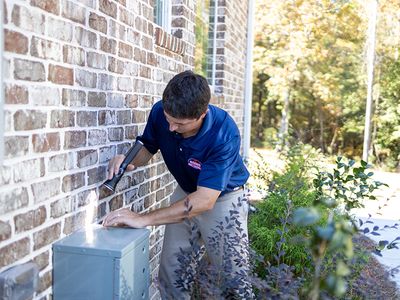 pest technician checking for pests