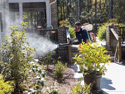pest control specialist spraying for mosquitoes in effingham sc