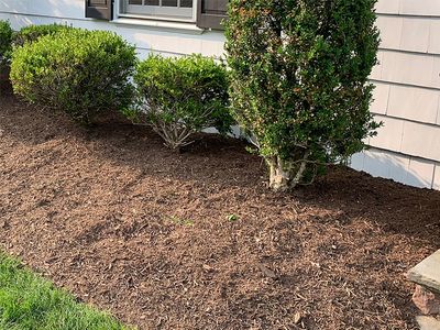 house with mulch too close to the foundation