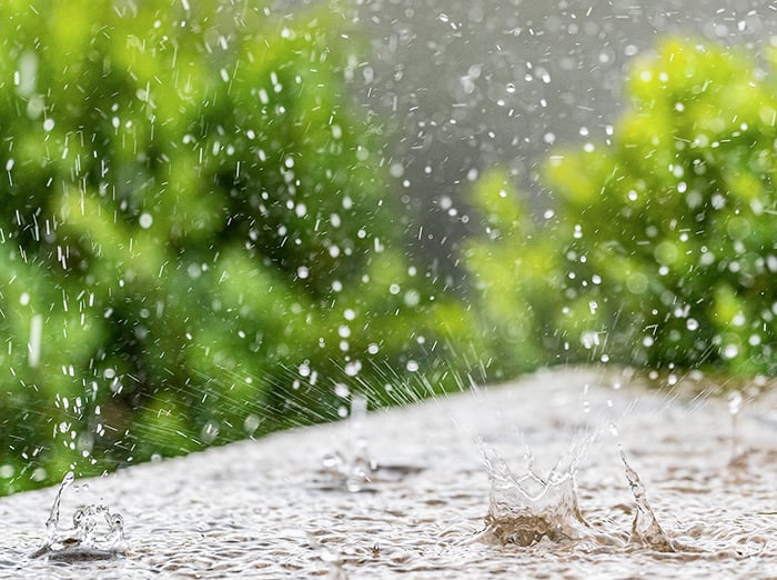 a rainy summer day in south carolina