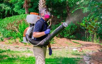 mosquito spraying myrtle beach sc