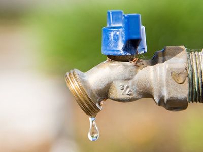 dripping faucet can attract spring pests