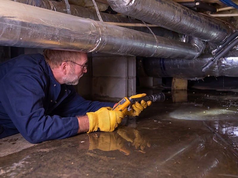 pest tech inspecting a home