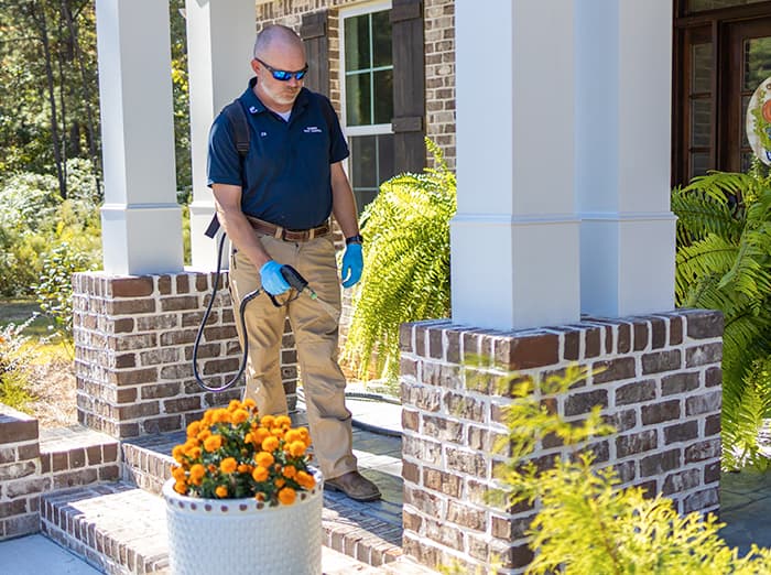 pest control pro treating outside of home
