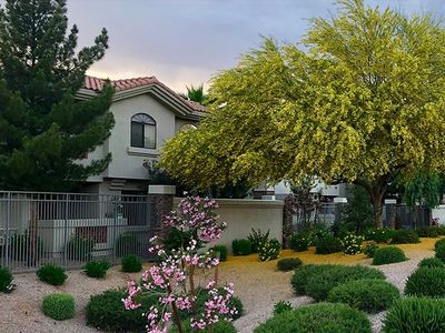 phoenix metro home in summer