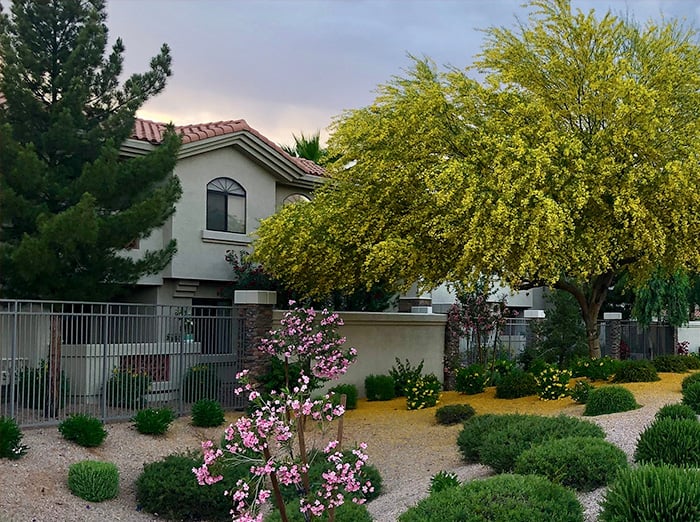 phoenix metro home in summer