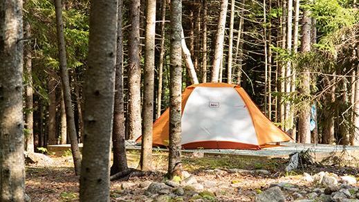 tenting near acadia national park