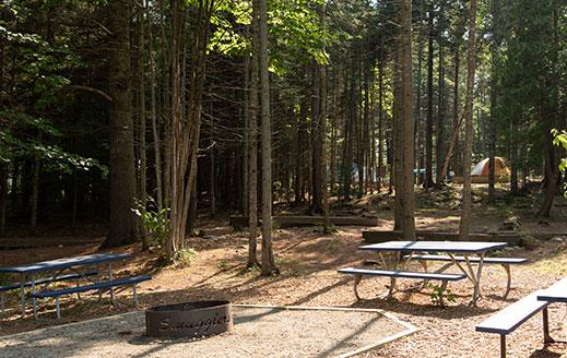 picnic and fire pit area for smuggler's group campsites